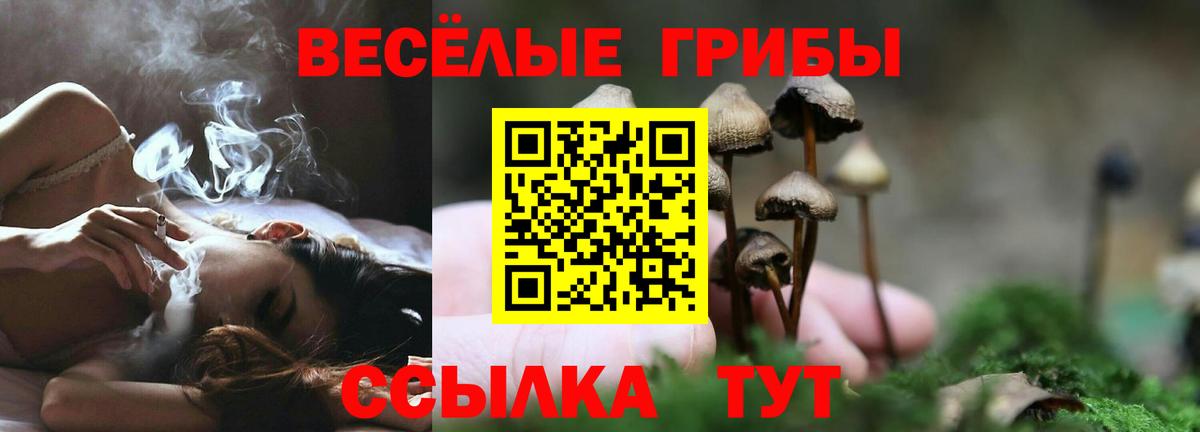 Галлюциногенные грибы GOLDEN TEACHER  Галлюциногенные грибы Magic Shrooms  Кашира  Вход с VPN 